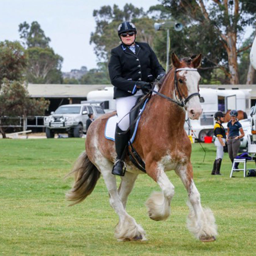 Are Unicorns born or trained?