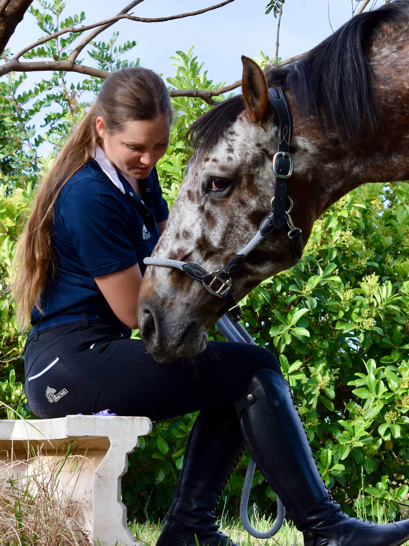 Woman sitting with horse under a tree, shows navy shirt