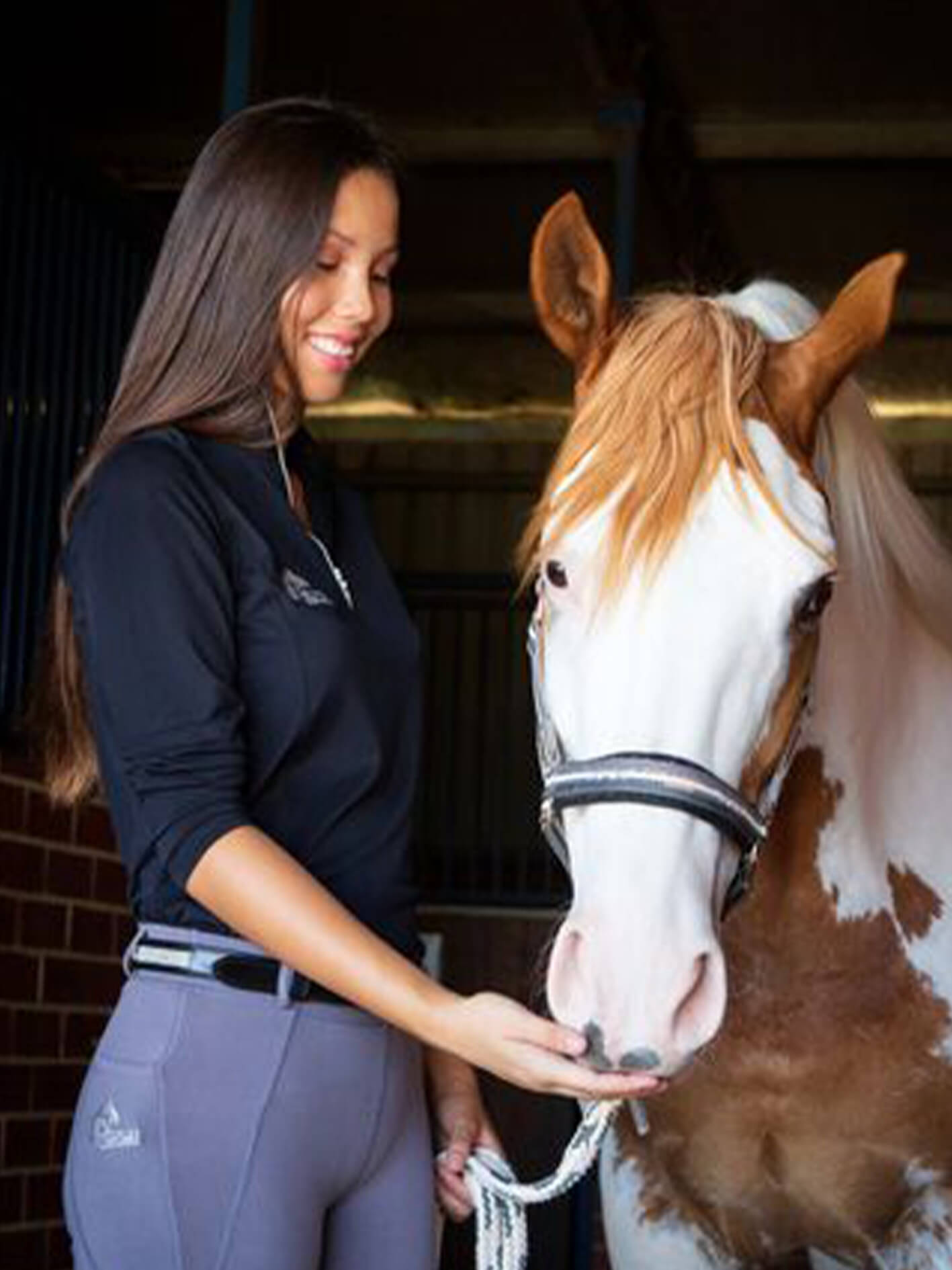 Woman feeding horse, wearing Plum Tack long sleeve riding top and grey horse riding tights